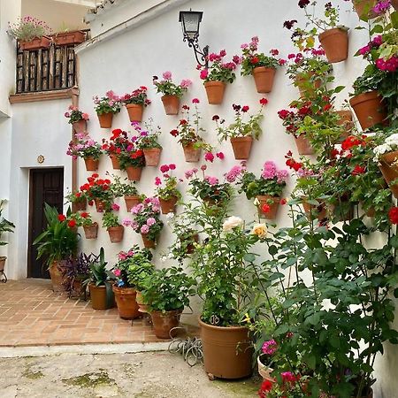 شقة Amal Casa De Huespedes قرطبة المظهر الخارجي الصورة