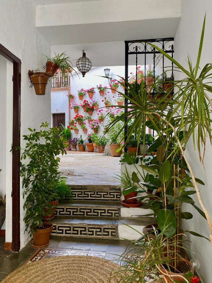 شقة Amal Casa De Huespedes قرطبة المظهر الخارجي الصورة