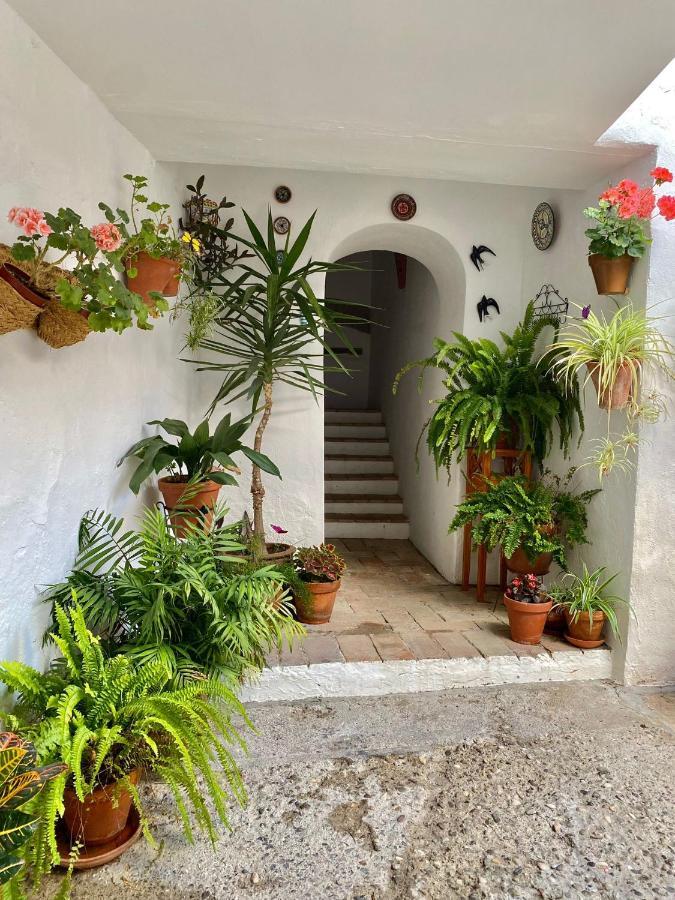 شقة Amal Casa De Huespedes قرطبة المظهر الخارجي الصورة