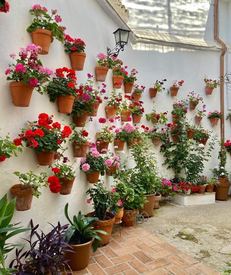 شقة Amal Casa De Huespedes قرطبة المظهر الخارجي الصورة